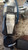 BLOCCASTERZO USATO DAL 2002 AL 2005 TOYOTA YARIS (FRANCE ) «I» (2002) 45020521 [[228827]]