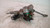 FIAT PANDA «II» (2004) STERZO PIANTONE STERZO USATO Da 2004 A 2009 [[228618]]