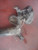 ASSALE POST. USATO NISSAN QASHQAI «II» (2017) 555014EA0A [[228592]]