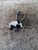 FIAT QUBO (2008) LAMIERATI ESTERNI SERRATURA PORTA ANT. DX. USATO Da 2010 A 2016 [[226330]]