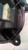 FIAT GRANDE PUNTO (2006) TERMICO MOTORINO VENTILAZIONE ABITACOLO USATO Da 2005 A 2010 [[230397]]