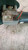 FIAT SEICENTO (1998) CRISTALLI MOTORINO TERGICRISTALLO USATO Da 2000 A 2005 [[229943]]
