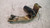 MOTORINO TERGICRISTALLO USATO DAL 1991 AL 1993 FIAT PANDA «I» (1991) 9942456 [[229259]]