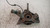 ALFA ROMEO 146 (1995) ASSALE FUSELLO RUOTA ANT. DX. USATO Da 1999 A 2001 [[232619]]