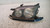 TOYOTA AVENSIS «I» (2000) FANALERIA PROIETTORE ANT. SX. USATO Da 2000 A 2002 [[232513]]