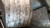 NISSAN MICRA «III» (2003) FANALERIA FANALINO COMPLETO ANT. SX. USATO Da 2003 A 2005 [[231841]]