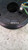 MERCEDES CLASSE C «S203» SW (2001) STERZO DEVIOGUIDA LUCI SX. USATO Da 2000 A 2002 [[231798]]