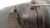VOLKSWAGEN POLO «IV» (2002) FANALERIA FENDINEBBIA ANT. DX. USATO Da 2001 A 2005 [[231625]]