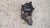 FORD FIESTA «VI» (2008) STERZO MOTORINO ALZACRISTALLO PORTA ANT. DX. USATO Da 2008 A 2012 [[232890]]