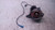 CITROEN DS3 (2010) ASSALE FUSELLO RUOTA ANT. DX. USATO Da 2010 A 2015 [[233670]]