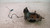 MINI MINI ONE «R50» (2001) ASSALE FUSELLO RUOTA ANT. DX. USATO Da 2001 A 2006 [[233549]]