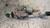 VOLKSWAGEN GOLF PLUS «I» (2004) CRISTALLI MOTORINO TERGICRISTALLO USATO Da 2005 A 2008 [[233470]]
