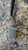FORD FIESTA «VI» VAN (2008) CRISTALLI RETROVISORE ESTERNO ANT. DX. USATO Da 2008 A 2012 [[233458]]