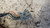 FORD FIESTA «VI» VAN (2008) CRISTALLI RETROVISORE ESTERNO ANT. SX. USATO Da 2008 A 2012 [[233457]]
