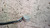 ROVER 45 (2000) CRISTALLI RETROVISORE ESTERNO ANT. SX. USATO Da 2000 A 2004 [[233428]]