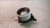 FIAT PUNTO EVO (2010) TERMICO MOTORINO VENTILAZIONE ABITACOLO USATO Da 2010 A 2011 [[233230]]