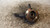 NISSAN MICRA «III» (2005) ASSALE FUSELLO RUOTA ANT. SX. USATO Da 2005 A 2010 [[234015]]