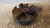 MAZDA 2 «II» (2008) ASSALE FUSELLO RUOTA ANT. DX. USATO Da 2007 A 2010 [[234006]]