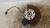 MAZDA 2 «II» (2008) ASSALE FUSELLO RUOTA ANT. SX. USATO Da 2007 A 2010 [[234005]]