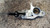 OPEL ASTRA «H» (2005) STERZO BLOCCASTERZO USATO [[233886]]