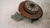 SEAT LEON «5F1» (2013) ASSALE FUSELLO RUOTA POST. DX. USATO Da 2012 A 2016 [[234049]]