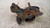 FUSELLO RUOTA ANT. DX. USATO DAL 2012 AL 2016 SEAT LEON «5F1» (2013) 5Q02560 [[234066]]