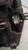 FIAT PANDA «II» (2004) FANALERIA PROIETTORE ANT. SX. USATO Da 2003 A 2009 [[233640]]