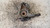 PEUGEOT 407  (2004) ASSALE FUSELLO RUOTA ANT. DX. USATO Da 2009 A 2011 [[234244]]