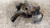 PEUGEOT 407  (2004) ASSALE FUSELLO RUOTA ANT. DX. USATO Da 2009 A 2011 [[234244]]