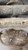 PEUGEOT 407  (2004) ASSALE SUPPORTO AMMORTIZZATORE ANT. SX. USATO [[234240]]