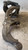 PEUGEOT 407  (2004) ASSALE SUPPORTO AMMORTIZZATORE ANT. DX. USATO [[234239]]