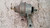 MINI MINI ONE «R50» (2001) MOTORE SUPPORTO GOMMA MOTORE DX. USATO Da 2003 A 2006 [[229580]]