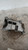 FIAT PANDA «III» (2012) MOTORE SUPPORTO GOMMA MOTORE DX. USATO Da 2012 in poi [[215694]]