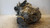 SEAT LEON «5F1» (2013) CAMBIO E TRASMISSIONE CAMBIO USATO Da 2012 A 2016 [[234061]]