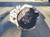 NISSAN QASHQAI «I» (2010) CAMBIO E TRASMISSIONE CAMBIO USATO Da 2010 in poi [[218648]]