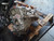 NISSAN QASHQAI «I» (2010) CAMBIO E TRASMISSIONE CAMBIO USATO Da 2010 in poi [[218648]]