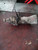 NISSAN TERRANO «II» (1999) CAMBIO E TRASMISSIONE CAMBIO USATO Da 2002 A 2006 [[218277]]
