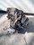 FIAT 500L (2017) CAMBIO E TRASMISSIONE CAMBIO USATO [[215893]]