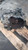 KIA PICANTO «I» (2004) CAMBIO E TRASMISSIONE CAMBIO USATO Da 2004 A 2008 [[215496]]