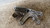 AUDI A5 «8T3» (2008) MOTORE SUPPORTO MOTORE DX. USATO Da 2008 A 2012 [[234276]]