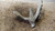AUDI A5 «8T3» (2008) MOTORE SUPPORTO MOTORE DX. USATO Da 2008 A 2012 [[234276]]