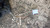 FORD FIESTA «V» (2002) CRISTALLI RETROVISORE ESTERNO ANT. SX. USATO Da 2002 A 2008 [[234211]]