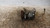 SUZUKI IGNIS «I» (2000) TERMICO COMPRESSORE A/C USATO Da 2000 A 2003 [[234592]]