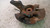 HYUNDAI TUCSON «I» (2005) ASSALE FUSELLO RUOTA ANT. SX. USATO Da 2004 A 2009 [[234466]]