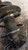 SUBARU IMPREZA «IV» (2008) ASSALE AMMORTIZZATORE ANT. DX. USATO Da 2007 in poi [[234158]]