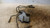 FIAT PANDA «II» (2009) IMPIANTO ELETTRICO BOBINA USATO Da 2009 A 2010 [[234658]]
