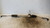 FIAT PANDA «II» (2009) STERZO SCATOLA STERZO C/SERVOSTERZO USATO Da 2009 A 2010 [[234635]]