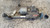 VOLKSWAGEN GOLF PLUS «I» (2004) CRISTALLI MOTORINO TERGICRISTALLO USATO Da 2005 A 2008 [[233469]]