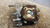 TOYOTA RAV 4 «III» (2006) CAMBIO E TRASMISSIONE DIFFERENZIALE ANT. USATO Da 2005 A 2008 [[234758]]
