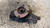 FIAT TEMPRA (1990) ASSALE FUSELLO RUOTA ANT. DX. USATO Da 1990 A 1993 [[234736]]